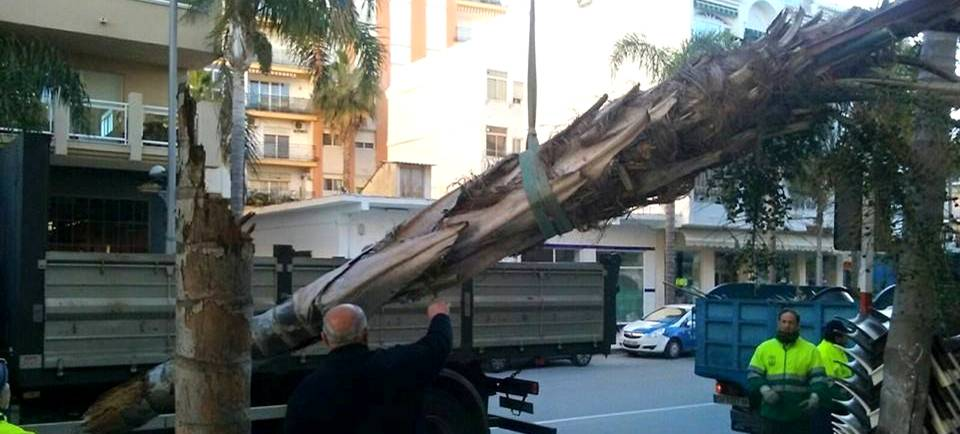 Según el Ayto. los daños ocasionados por el viento en Almuñécar rondarán los 200 mil euros