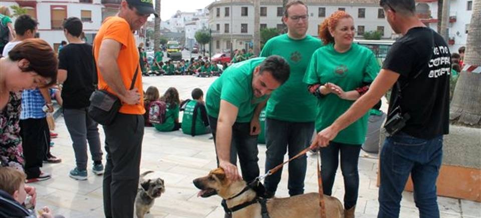 Salobreña celebra una fiesta con los perros como protagonistas