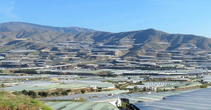 La superficie de invernaderos de Andalucía oriental roza las 37.000 hectáreas