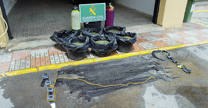 La Guardia Civil de Almuñécar interviene 206 kg de anémonas de mar