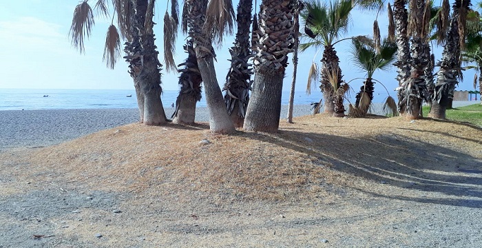 Oasis seco en la playa de Velilla de Almuñécar.jpg