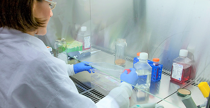 En marcha más de 30 nuevos proyectos de investigación contra el coronavirus