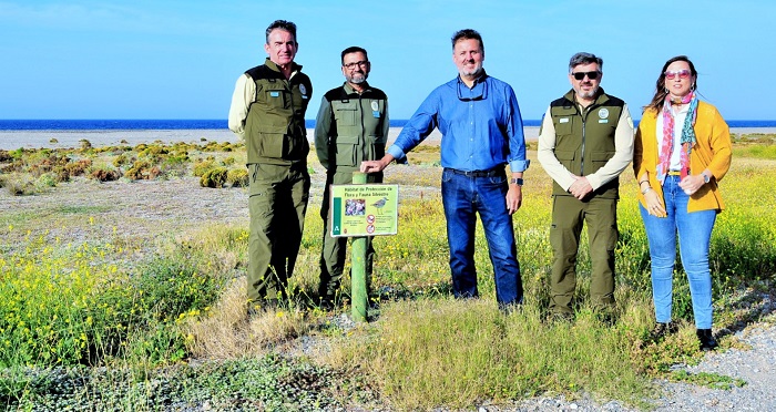 Campaña de protección de las zonas de nidificación del chorlitejo patinegro en la costa granadina